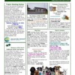 Augusta Quarterly - Fall 2019 Page 01