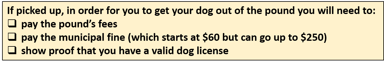 if picked up, in order for you to get your dog out of the pound, you will need to: pay the pound's fees, pay the municipal fine (which starts at $60 but can go up to $250) and show proof that you have a valid dog license.