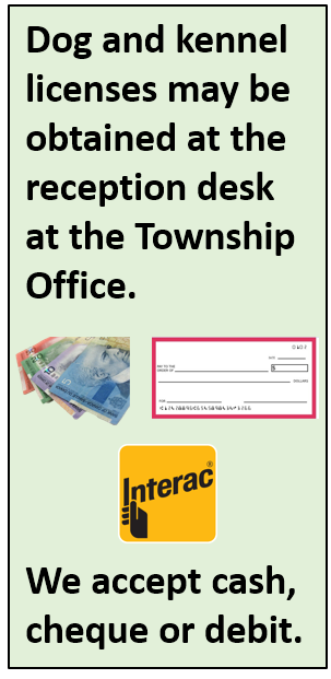 says dog and kennel licenses may be obtained at the reception desk at the township office. we accept cash, cheque or debit